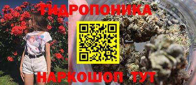 скорость Лесосибирск