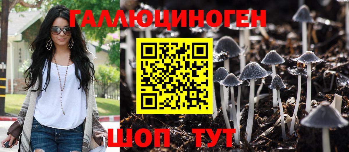 Галлюциногенные грибы прущие грибы  Вход с VPN  Павловский Посад  Галлюциногенные грибы мухоморы 