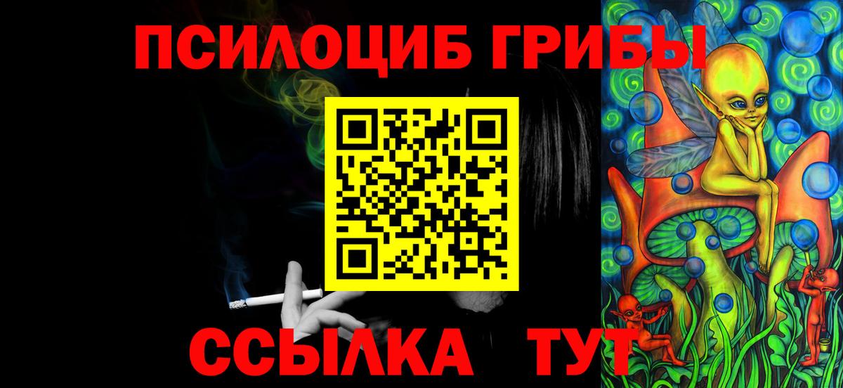 Галлюциногенные грибы Cubensis Павловский Посад